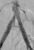 Post Assurant Cobalt stent